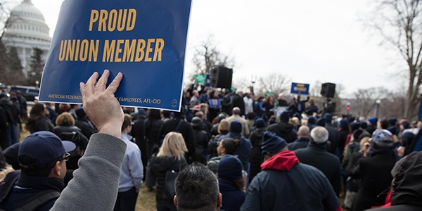 Rally goer holding sign that reads proud union member