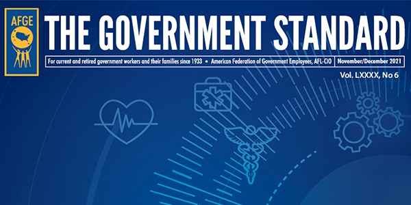Cover of Government Standard