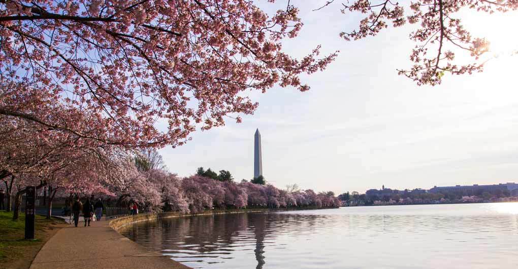Running in D.C. with Friends? Yes, Please!