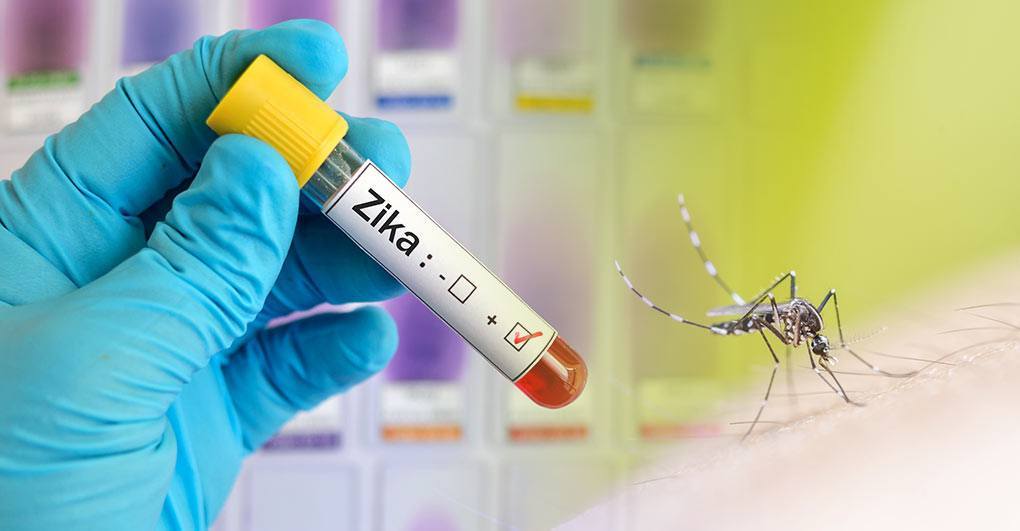 The Zika Virus is Here. Meet the Federal Scientists Racing to Stop It