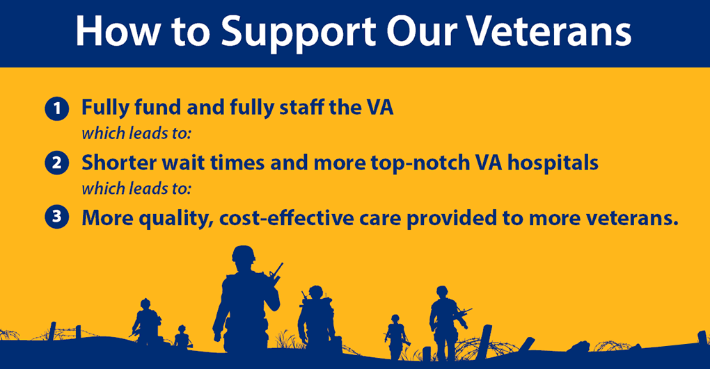 The True Cost of Expanded Privatization at the VA