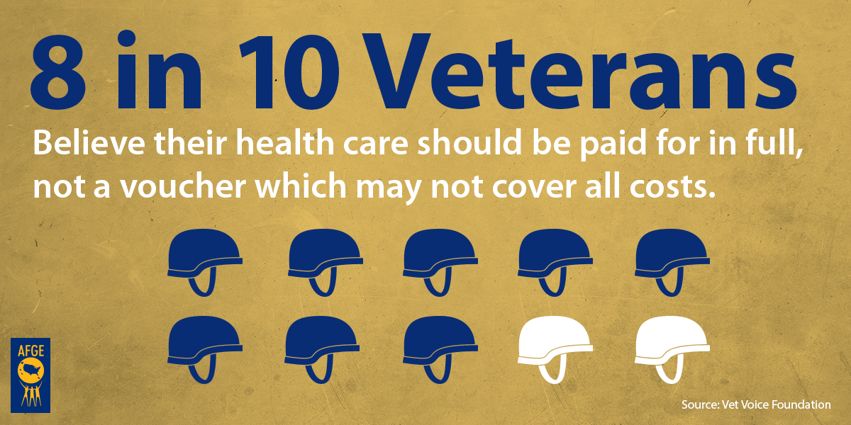 New Poll Uncovers What Veterans Really Think About the VA